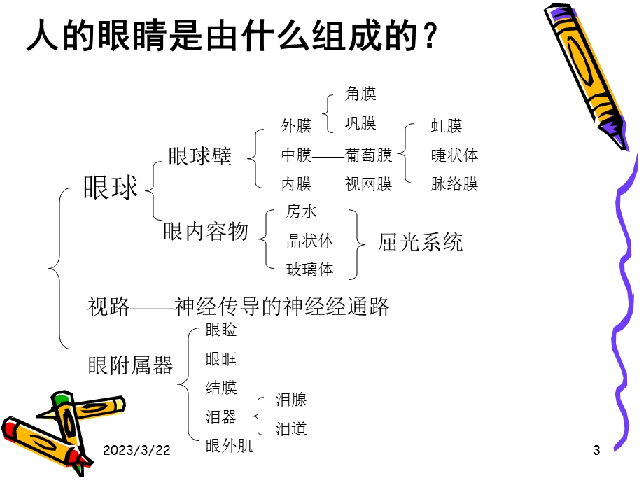 医学眼科基础知识课件.ppt_第3页