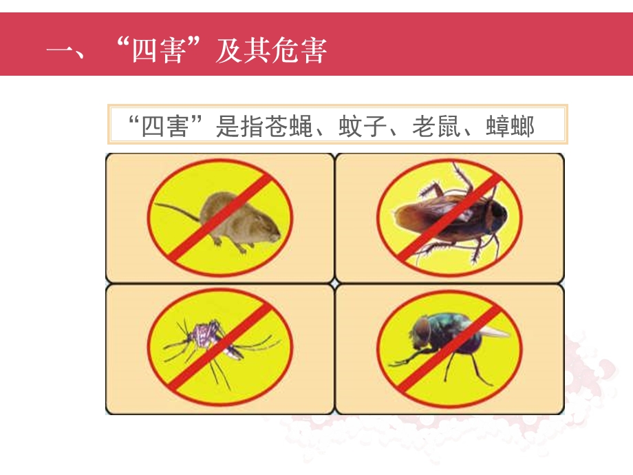 保洁消杀作业指导课件.ppt_第3页