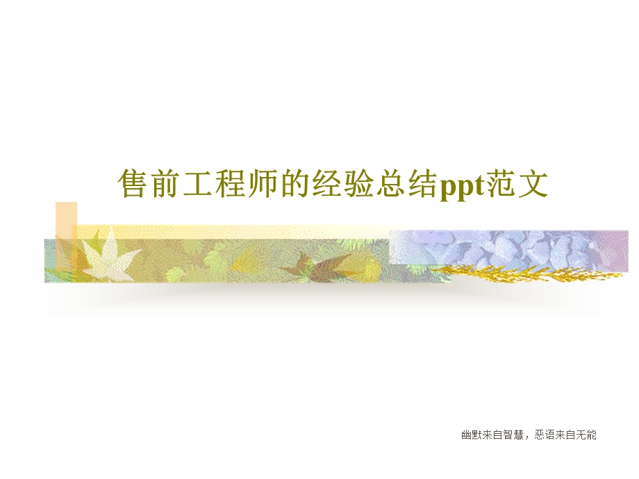 售前工程师的经验总结ppt范文课件.ppt_第1页