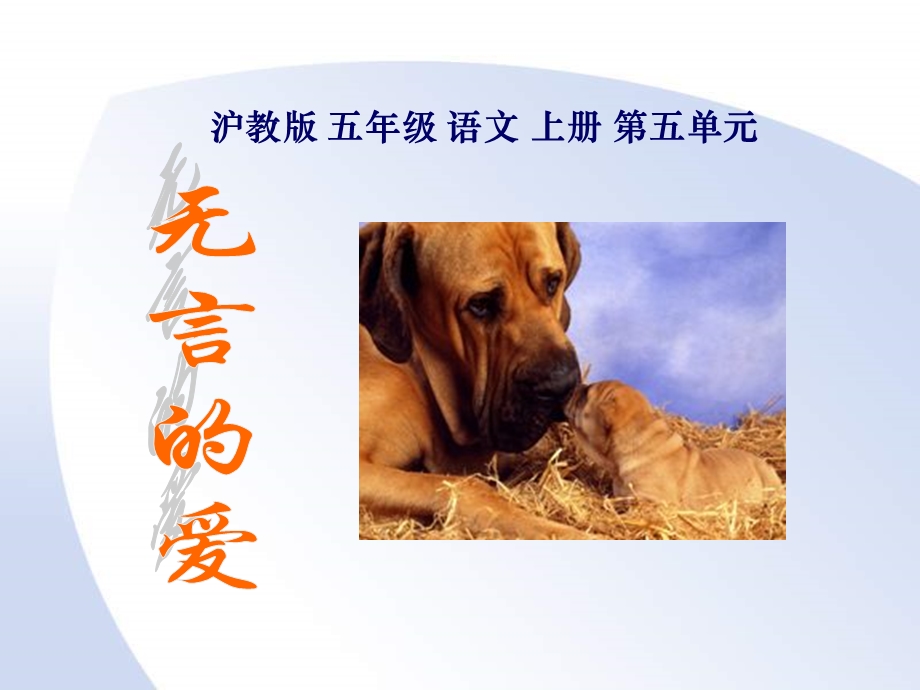 小学语文：无言的爱(沪教版五年级上)课件.ppt_第1页