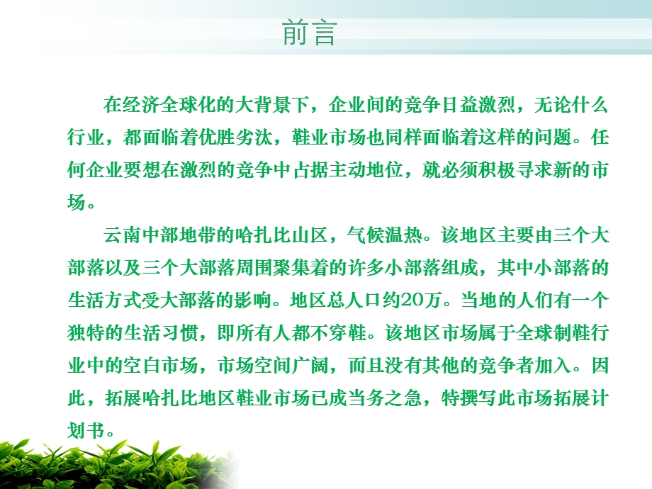 哈扎比地区鞋业市场拓展计划书课件.ppt_第3页