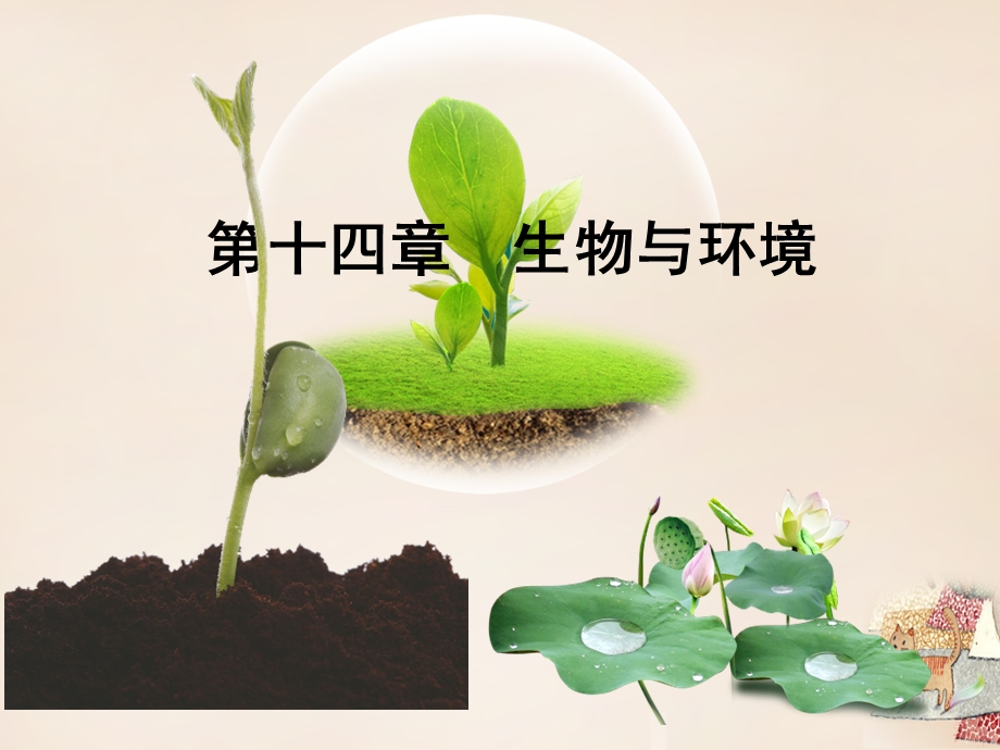 八年级生物下册_第十四章-生物与环境ppt课件-北京版.ppt_第1页