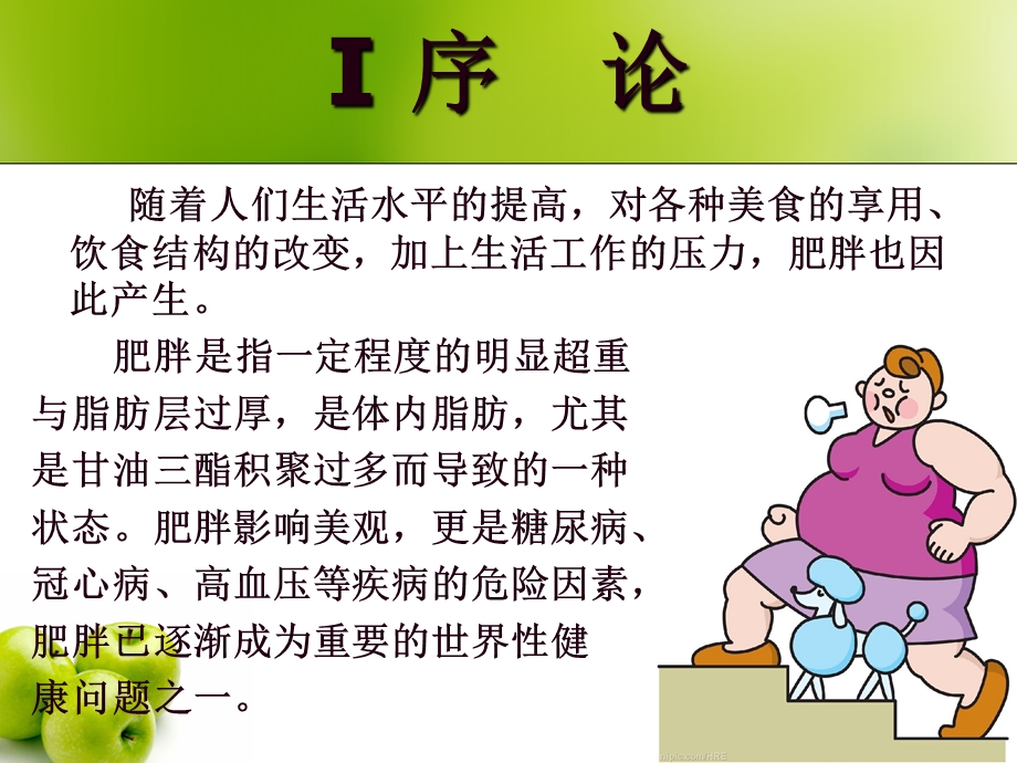 健脾化痰药膳减肥的作用机理探讨课件.ppt_第2页