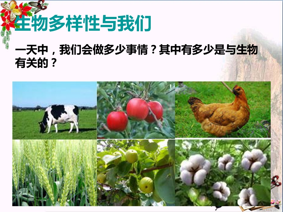 六年级科学上册4.8生物多样性的意义-课件教科版.ppt_第3页