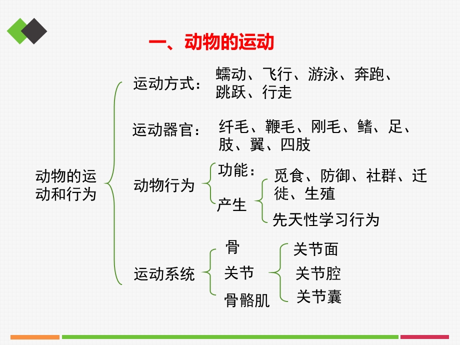 动物的运动和行为课件 -人教版.ppt_第2页