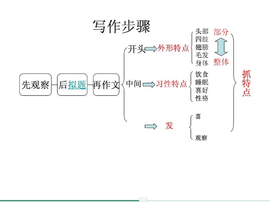 作文指导——写一种小动物-课件.ppt_第3页