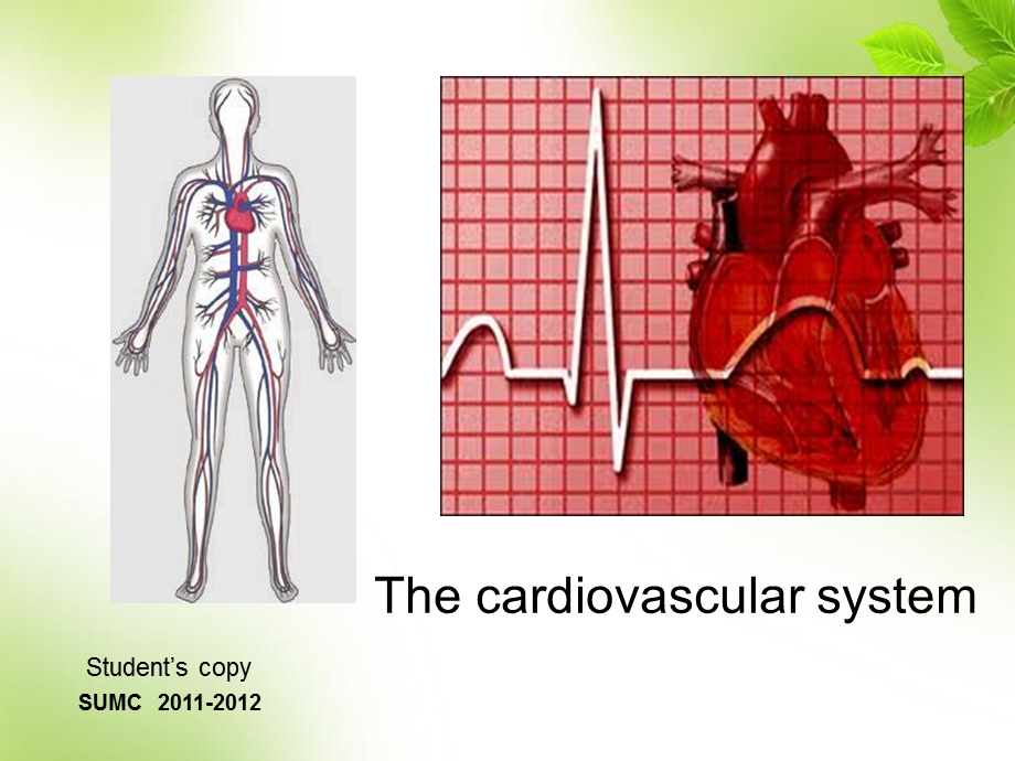 医学英语心脏课件.ppt_第1页