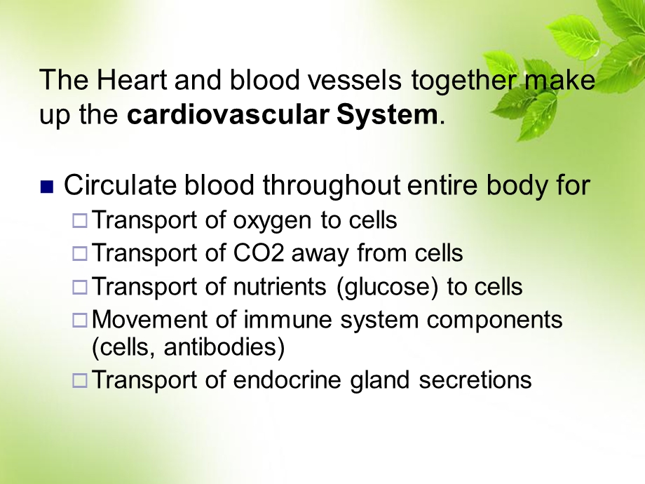 医学英语心脏课件.ppt_第3页