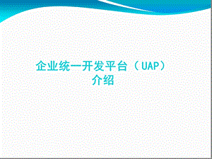 企业级统一开发平台项目解决方案课件.ppt