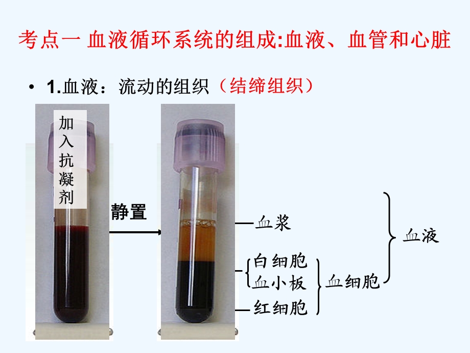 人体内的物质运输公开课课件.ppt_第2页