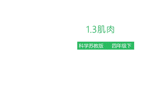 小学科学（苏教版）《肌肉》教学ppt课件.pptx