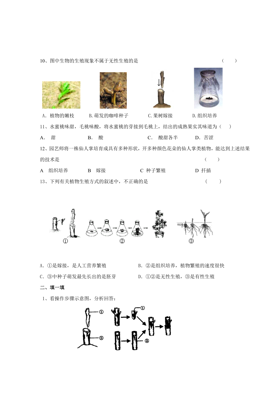 《植物的生殖》习题附带答案.doc_第2页