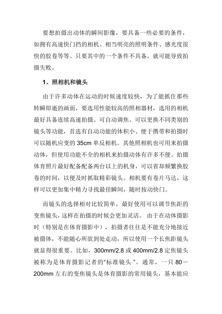 专题摄影动体摄影要点.doc_第3页