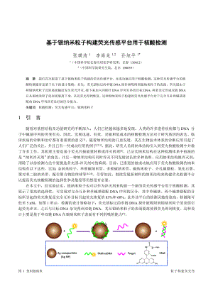 论文（设计）基于银纳米粒子构建荧光传感平台用于核酸检测24917.doc