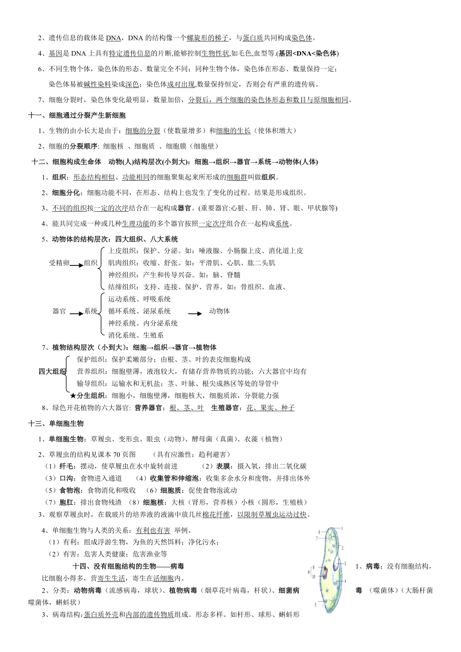 人教版七年级生物上册期末复习提纲完整版.doc_第3页