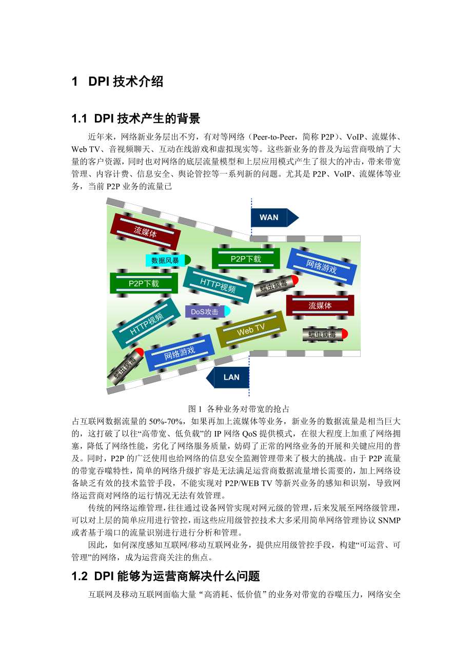 DPI(深度包检测)技术要点.doc_第1页