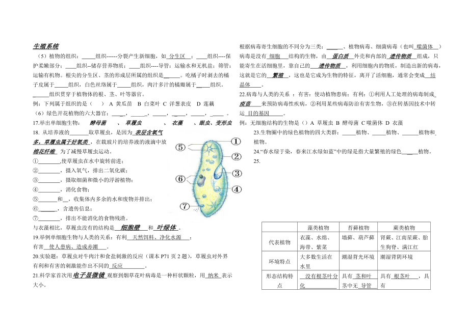 人教版七年级生物上册复习提纲填空型汇总.doc_第3页