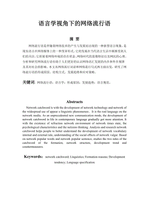 语言学视角下的网络流行语毕业论文.doc