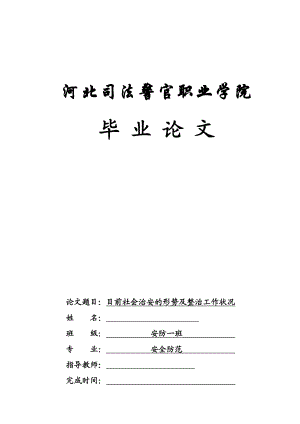 毕业论文目前社会治安的形势及整治工作状况.doc