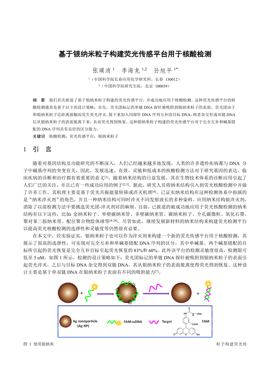 论文（设计）基于银纳米粒子构建荧光传感平台用于核酸检测.doc_第1页