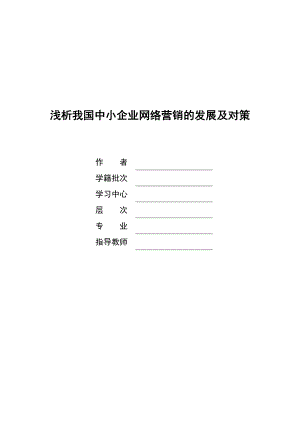 浅析我国中小企业网络营销的发展及对策毕业论文.doc