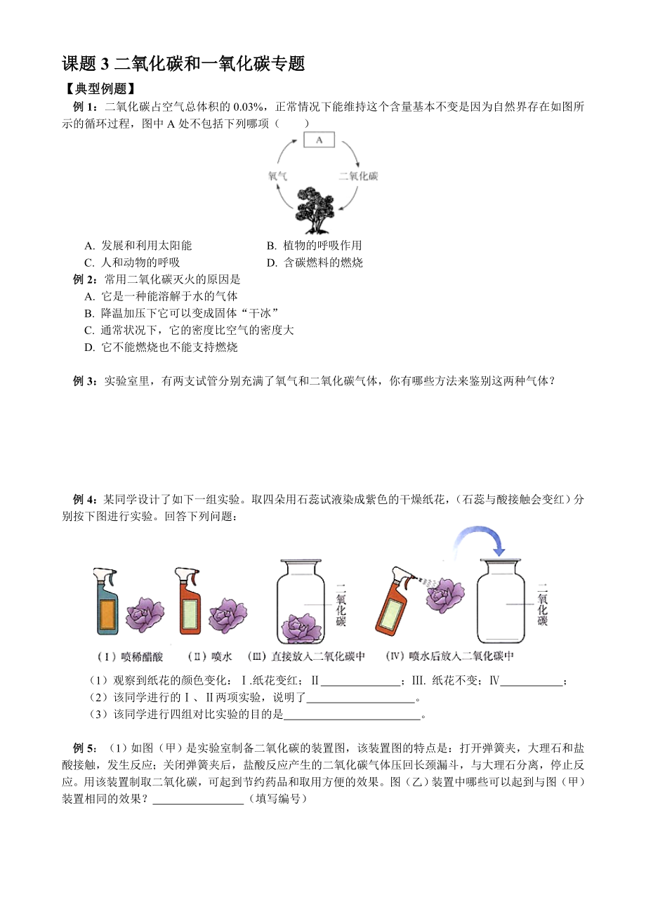 二氧化碳和一氧化碳专题练习题.doc_第1页