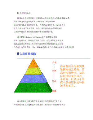 BI商业智能系统概要.doc