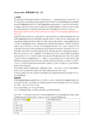 Western_Blot_原理和操作方法讲解.doc