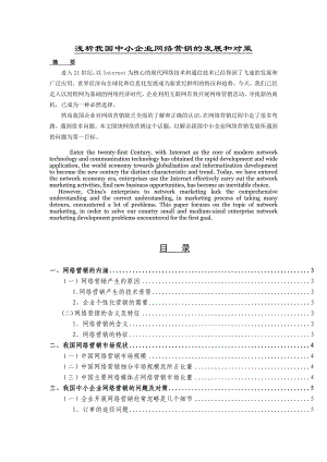 浅析我国中小企业网络营销的发展和对策毕业论文.doc