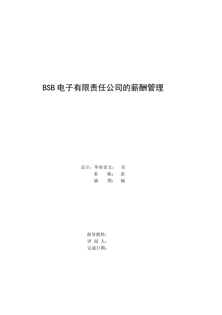 BSB电子有限责任公司的薪酬管理.doc_第2页