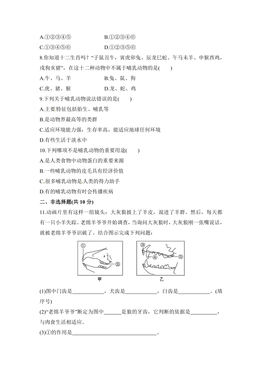 《哺乳动物》同步练习汇总.doc_第2页