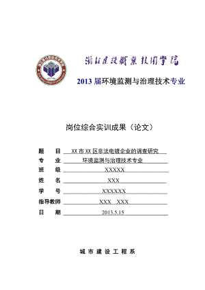 非法电镀企业的调查研究毕业论文.doc