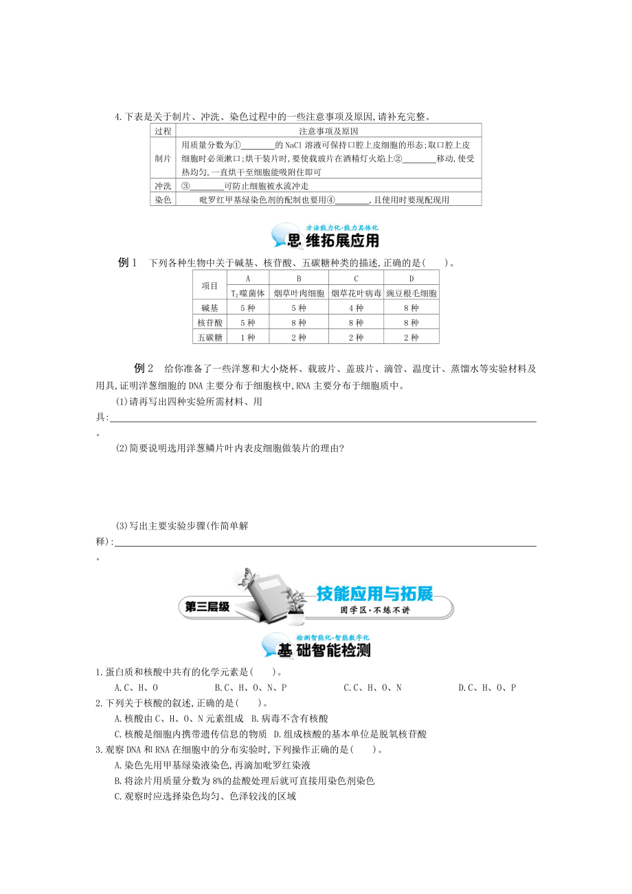 《遗传信息的携带者——核酸》导学案.doc_第3页