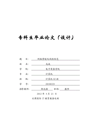 网络营销及风险防范毕业论文.doc