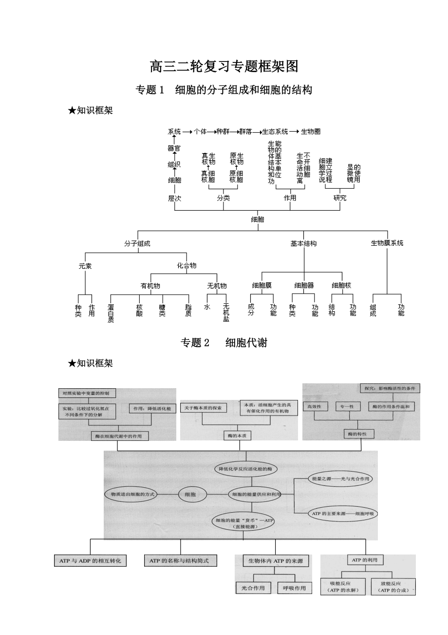 高三生物二轮复习专题框架图.doc_第1页