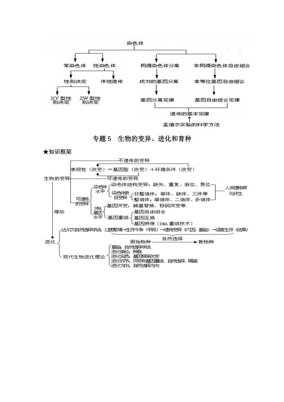 高三生物二轮复习专题框架图.doc_第3页