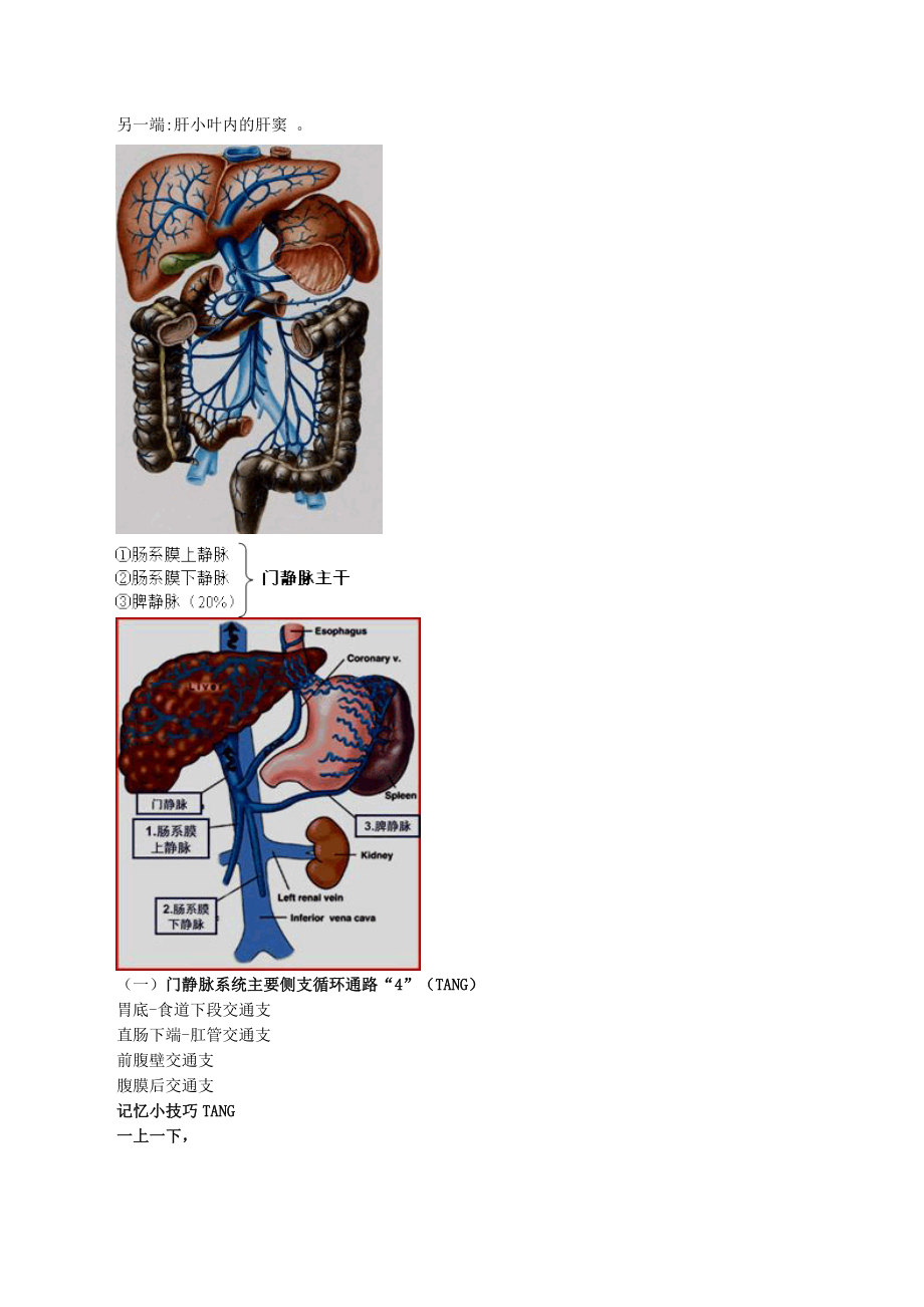 外科学知识点精华笔记(执业医+主治)必备.doc_第2页