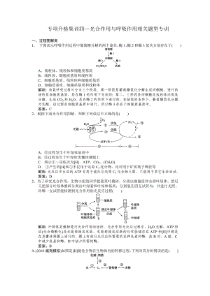 光合作用与呼吸作用相关题型专训剖析.doc