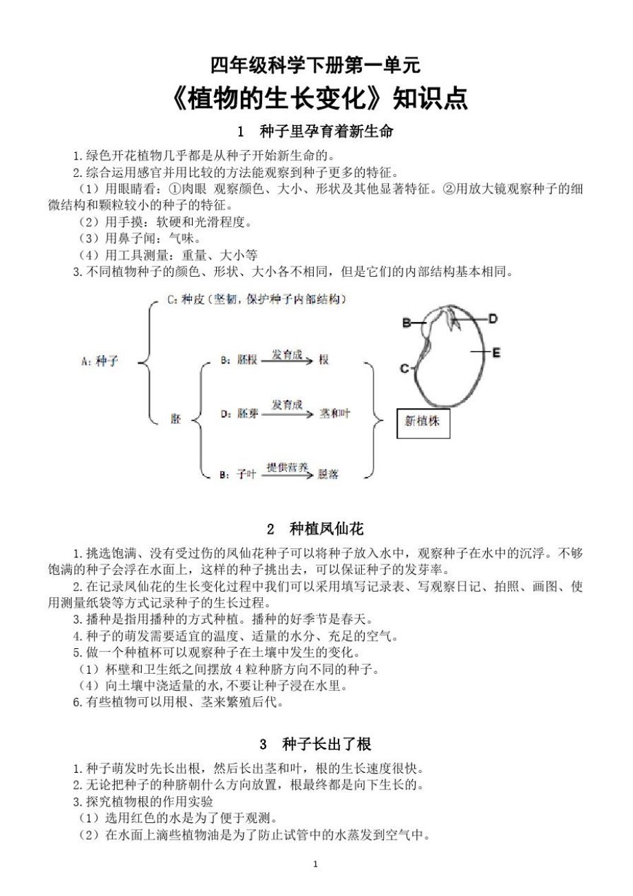 小学科学教科版四年级下册第一单元《植物的生长变化》知识点整理.doc_第1页