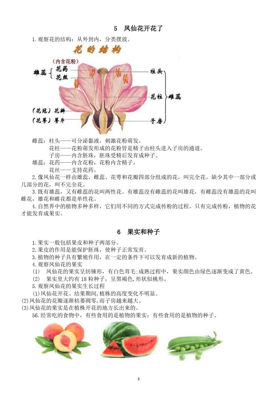 小学科学教科版四年级下册第一单元《植物的生长变化》知识点整理.doc_第3页