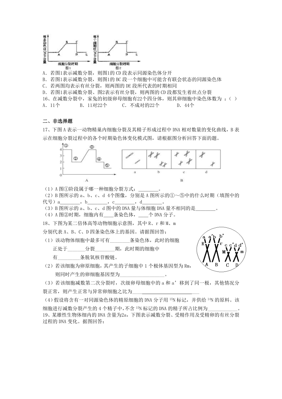 减数分裂练习题带答案.doc_第3页