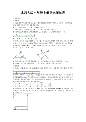 北师大版七年级数学上册期末复习压轴题专题(带解析).doc