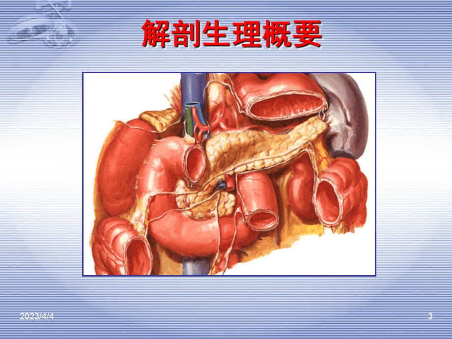 胰腺疾病PPT医学课件.ppt_第3页