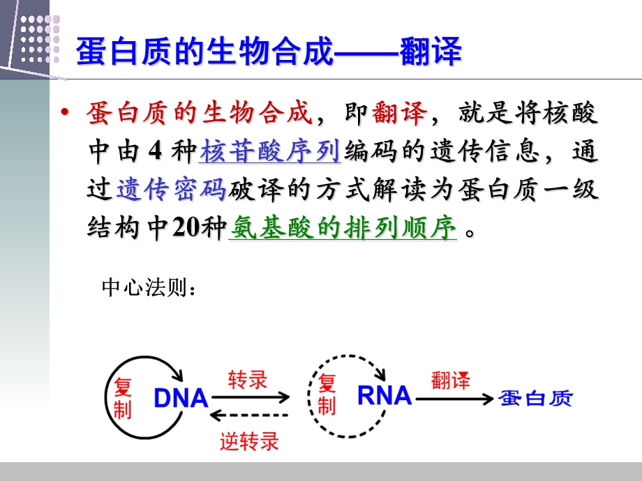 药学分子生物学翻译.ppt_第3页