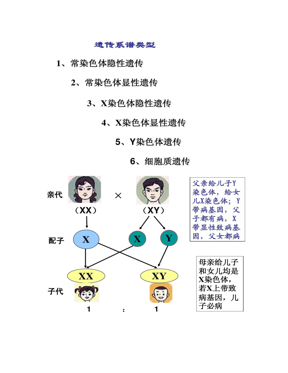 人类遗传病专题复习最全面的.doc_第3页