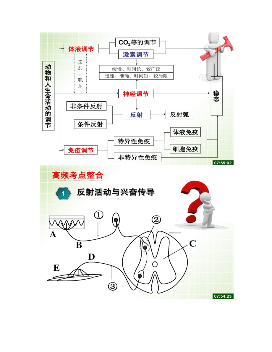 动物激素调节二轮复习解读.doc_第2页