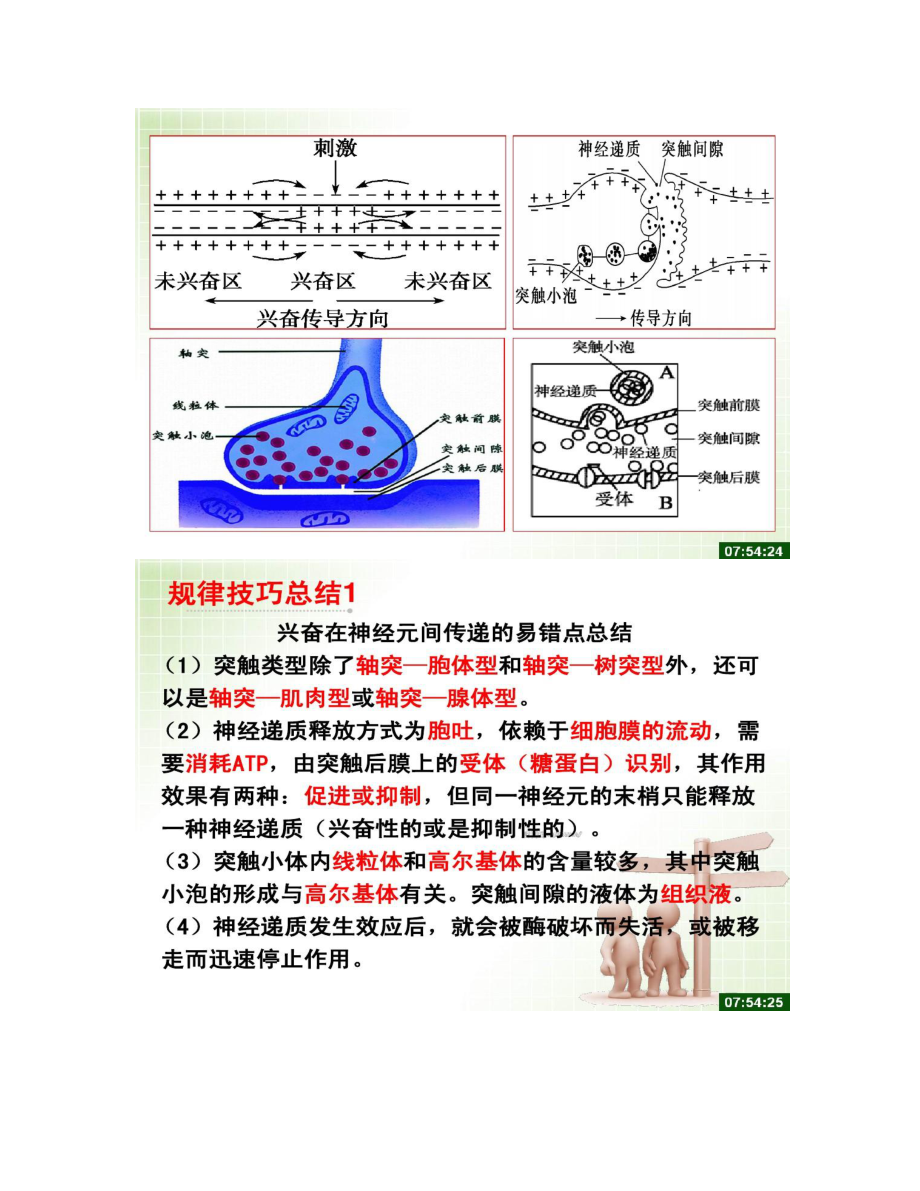 动物激素调节二轮复习解读.doc_第3页