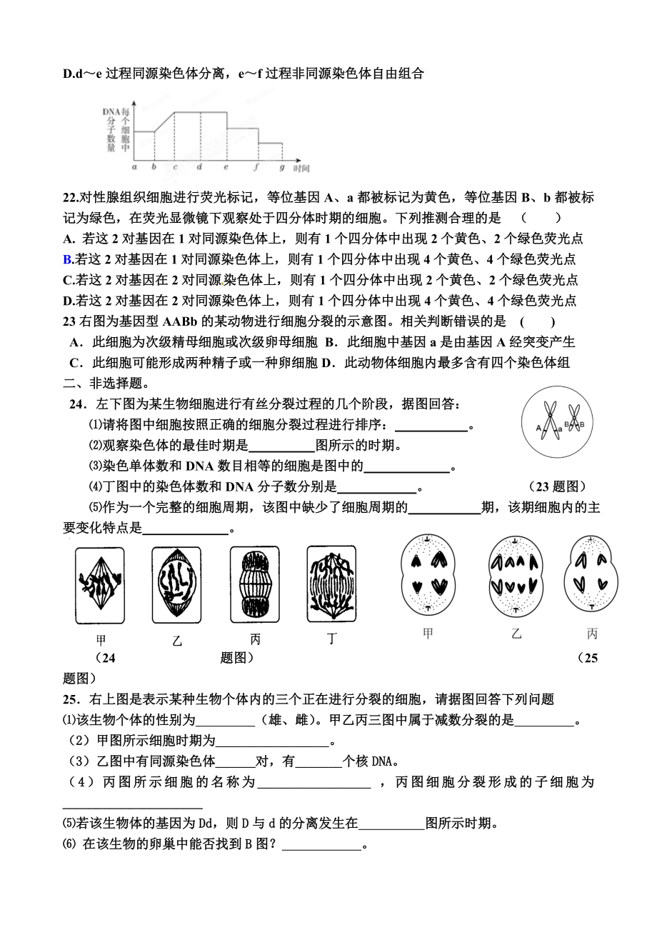 有丝分裂和减数分裂专题练习.doc_第3页