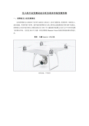 无人机行业发展动态分析及培训市场发展形势资料.doc