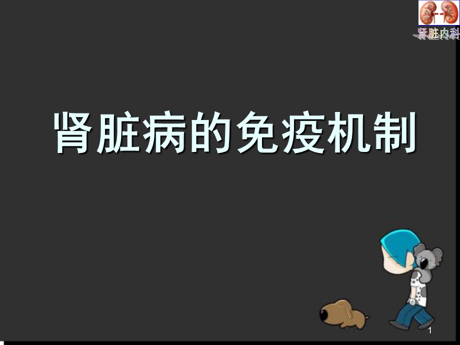 肾脏病的免疫机制医学PPT课件.ppt_第1页